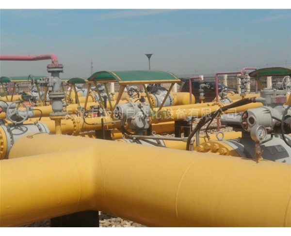 天津燃氣公司氣站IQ防爆執行器