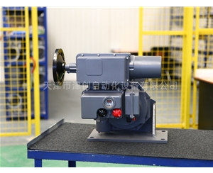 引進型電動執行器